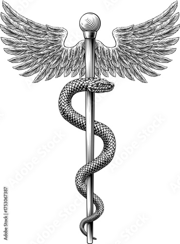 Rod of Asclepius staff medical symbol. Snake around rod or wooden staff. Often mistakenly called Caduceus. Doctor medicine and health care icon. Vintage woodcut etching style. Also features wings.