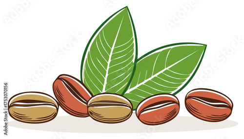 Stylized illustration of roasted coffee beans with fresh green leaves from a coffee plant
