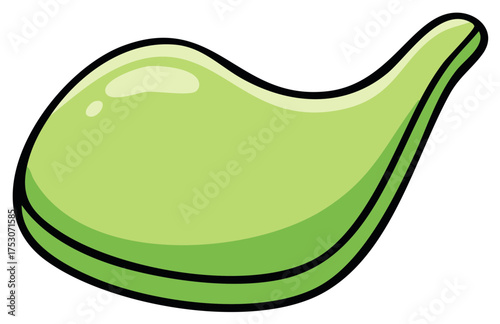 Simple cartoon illustration of a shiny light green bottle gourd or calabash