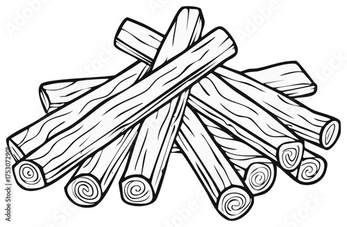 Wallpaper Mural Pile of Kindling Wood Sticks for Fire Starters and Camping Torontodigital.ca