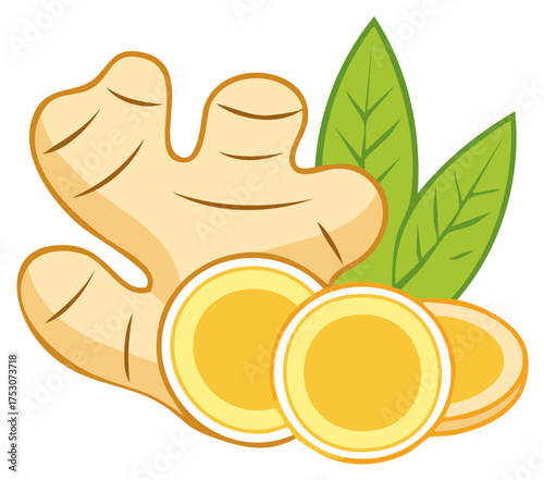 Fresh ginger root with sliced pieces and green leaves illustration