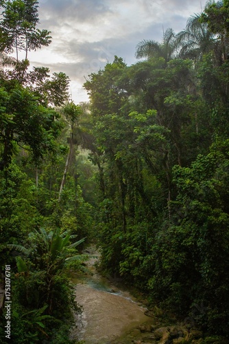 Explore a vibrant tropical rainforest with a gentle river flowing through lush greenery, inviting adventure and discovery in this secluded natural paradise, perfect for travel and nature themes