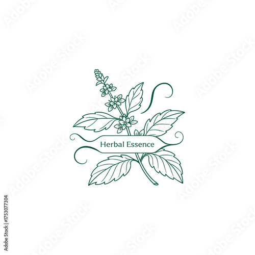 green herbals logo design vector with leaf 