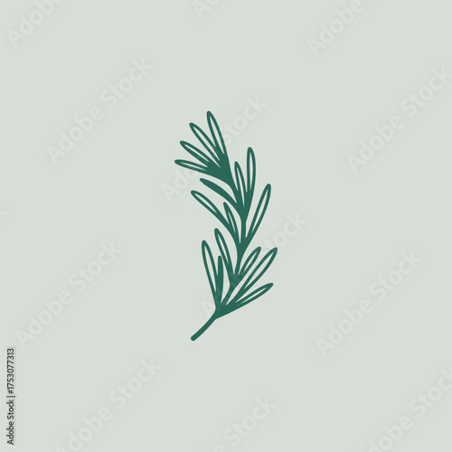 green herbals logo design vector with leaf 