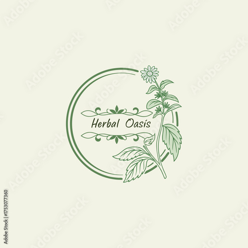 green herbals logo design vector with leaf 