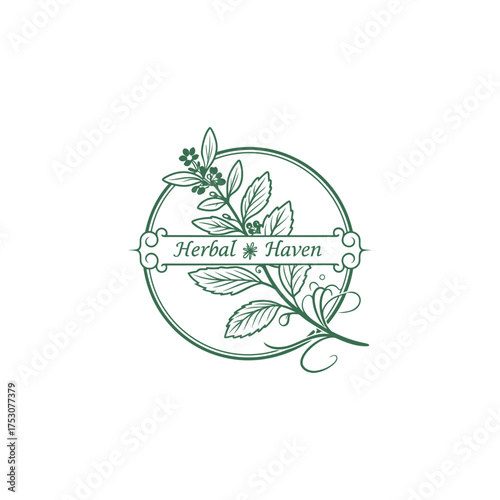 green herbals logo design vector with leaf 