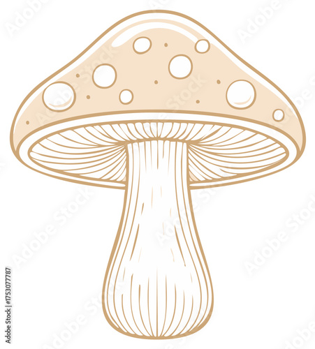 Isolated Mushroom Graphic Illustration Fungus Drawing Toadstool Food Ingredient Clip Art Fungi