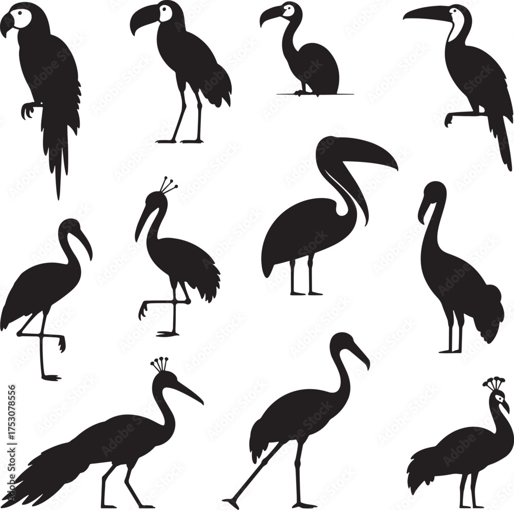 Fototapeta premium Collection of black bird silhouettes including parrot toucan crane and peacock vector