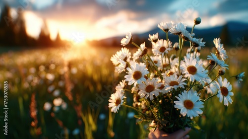 A hand holds a lovely bouquet of daisies in a vibrant green field, against a stunning sunset, capturing the essence of nature's beauty and tranquility.