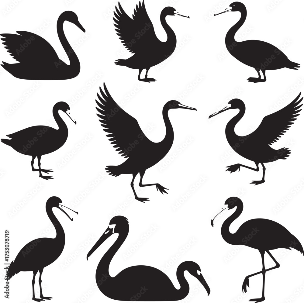 Obraz premium Collection of black bird silhouettes including swans cranes and flamingos swan silhouette crane silhouette