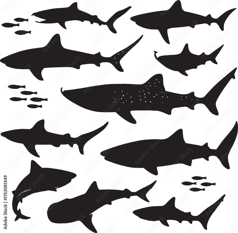 Fototapeta premium Assorted Shark Silhouettes with Small Fish on White Background