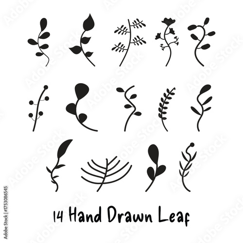 Hand Drawn Leaf Set Vector Illustration