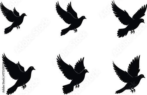 Bird silhouettes in flight motion, black vector illustration, wing positions, avian movement study, graceful airborne shapes, nature art, stock design element