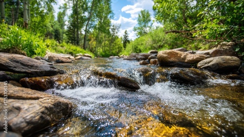 Serene stream flowing through lush green forest under bright blue sky