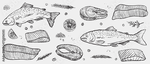 Hand drawn salmon fish and seafood cuts with herbs, lemon slices, and seasoning. Vector sketch illustration in vintage crayon charcoal style. Healthy diet, proper nutrition, packaging design