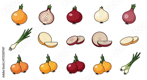 Illustration of various onions, including yellow, red, and white varieties, whole, halved, and sliced, with green onions included.