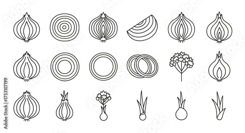 A collection of onion illustrations, showing whole, sliced, and halved onions in a line art style on a white background.