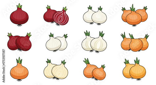Twelve illustrations of onions, showcasing red, white, and yellow varieties, both whole and halved, arranged in rows on a white background.
