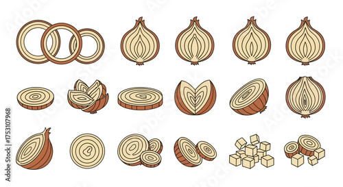 Illustration of various cuts and forms of brown onions, including whole halves, slices, rings, and diced pieces, presented against a white background.