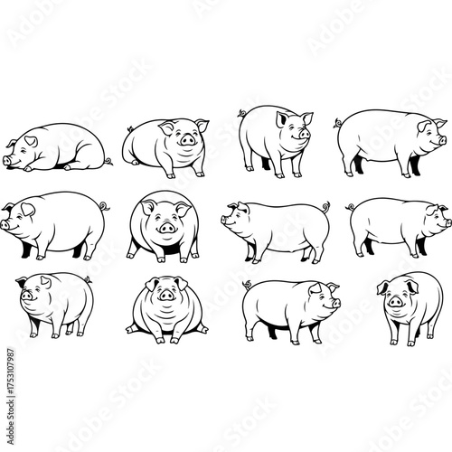 Set of twelve hand drawn pig illustrations in various poses.