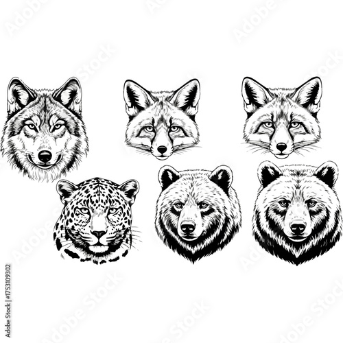Detailed Animal Head Illustrations - Wolf, Fox, Leopard, and Bear.