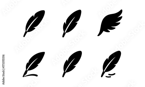 Collection of black feather and wing silhouettes