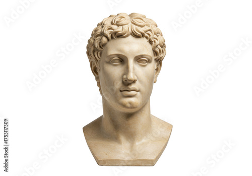 Obraz na plátně Marble bust of young man isolated on transparent background, classical sculpture
