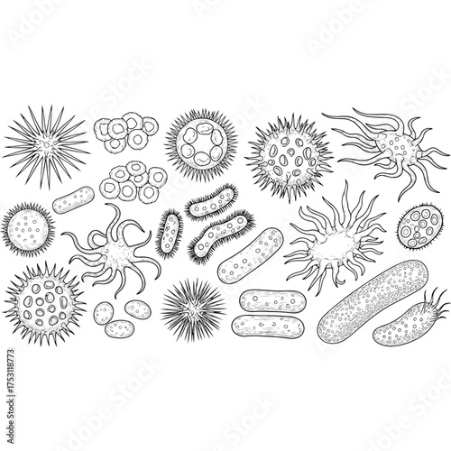 Detailed illustration of various microorganisms and bacteria in a scientific diagram.