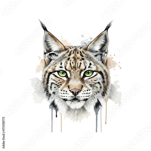 Detailed Watercolor Portrait of a Fierce Bobcats Face.