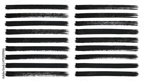 Collection of black paint brush strokes on a white background