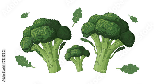 Fresh broccoli florets with green leaves arranged artistically.