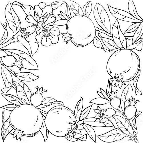 Pomegranate Branch with Flowers, Fruits and Leaves Outline Frame. Organic natural nutritional healthy food ingredient, vegetarian diet product. Vector isolated for design or decoration.