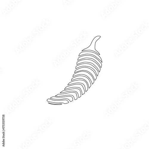 Hot chili pepper line art. Minimalist red chili pepper doodle illustration. Modern abstract striped chili pepper vector. Playful spicy food design. hot chili pepper. Red chili pepper hand drawn.