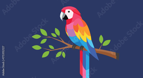 A vibrantly colored parrot perched on a tree branch against a dark blue background.