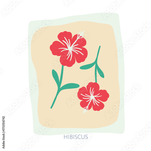 Hibiscus hand drawn illustration.eps