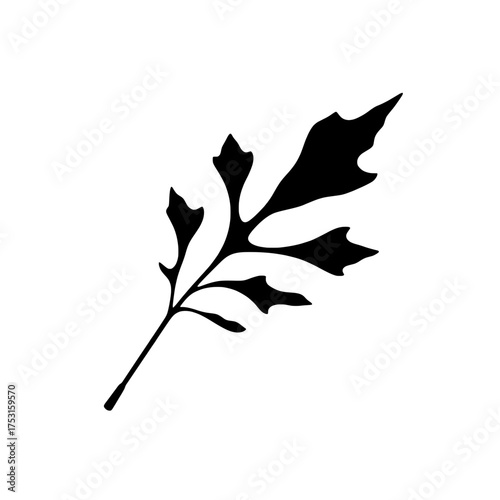 a simple black silhouette of a jagged leaf on a stark white background