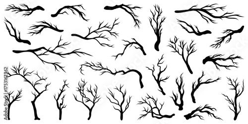 Collection of black silhouettes depicting various bare tree branches, sticks, and twigs on a white background. Tree icons in vector.