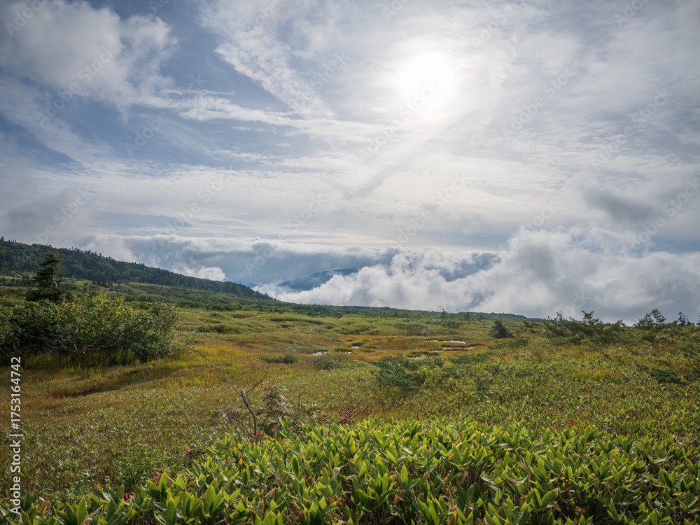 Fototapeta premium 弥陀ヶ原 立山黒部アルペンルート 富山県立山町