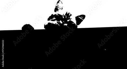 Black and white minimalist vector of a curious animal peeking from behind a wall. Ideal for creative designs, pet-themed artwork, humorous graphics, or modern minimalist prints.