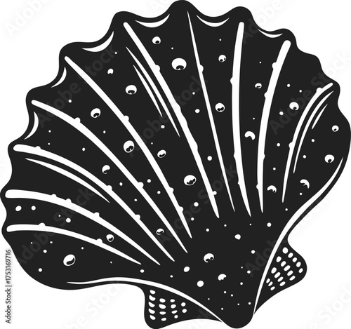 Detailed scallop seashell illustration with bold black and white lines and textured surface, marine ocean motif art