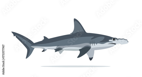 Stylized Illustration of a Hammerhead Shark with Smooth Shading and Simplistic Details on a White Background