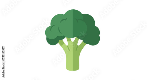 Vector depiction of fresh green broccoli, perfect for healthy eating illustrations or nutritional content featuring vibrant color and clear design
