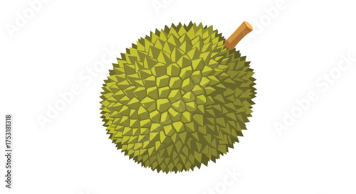 Digitally rendered durian, showcasing its spiky rind and distinctive shape against a clean white backdrop illustrating freshness