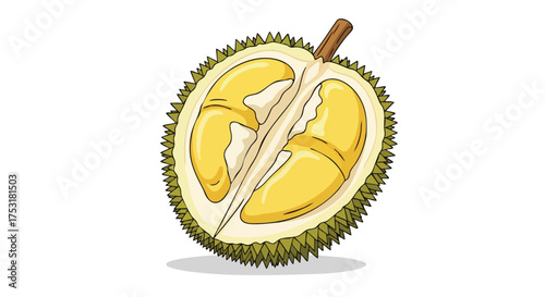 Illustration of a halved durian, showcasing its spiky exterior and creamy yellow pulp with soft, inviting segments within a light green shell