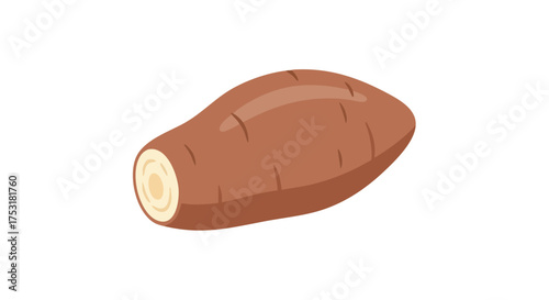 Illustration of a cassava root with textured skin and cut end, set against a clean white background for versatile use