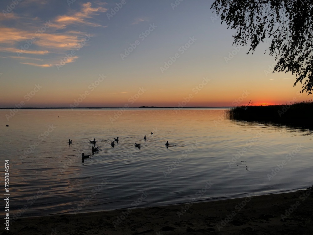 Naklejka premium sunset on the lake