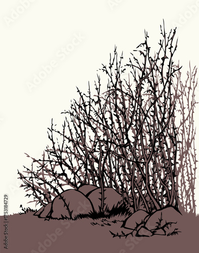Vector drawing. The thorn bushes