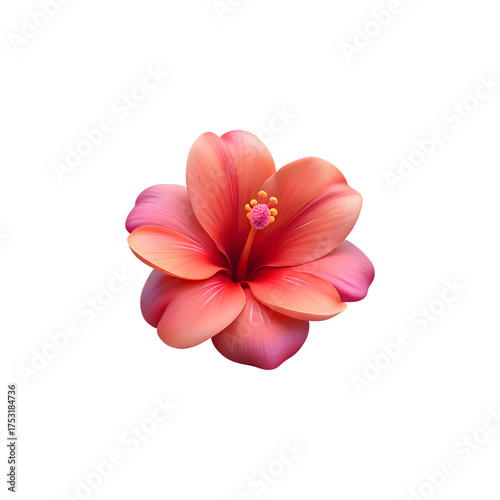 Vibrant coral pink hibiscus flower isolated tropical blossom detailed petals and stamen