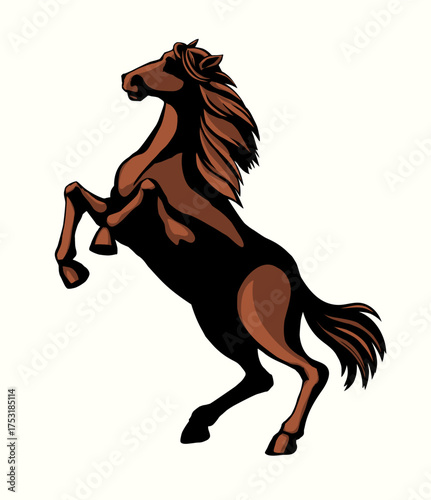 Vector drawing. Man on the horse