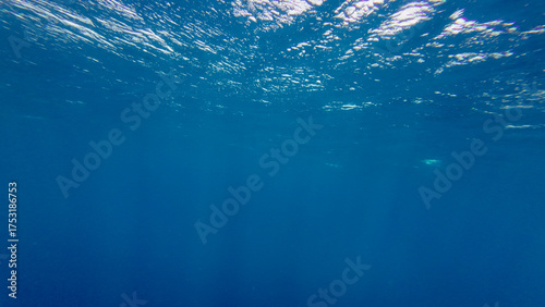 Blue ocean water glows under the sunlight, creating a calm and endless underwater view. The peaceful seascape shows the beauty and depth of the open sea.